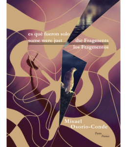 by Misael Osorio-Conde