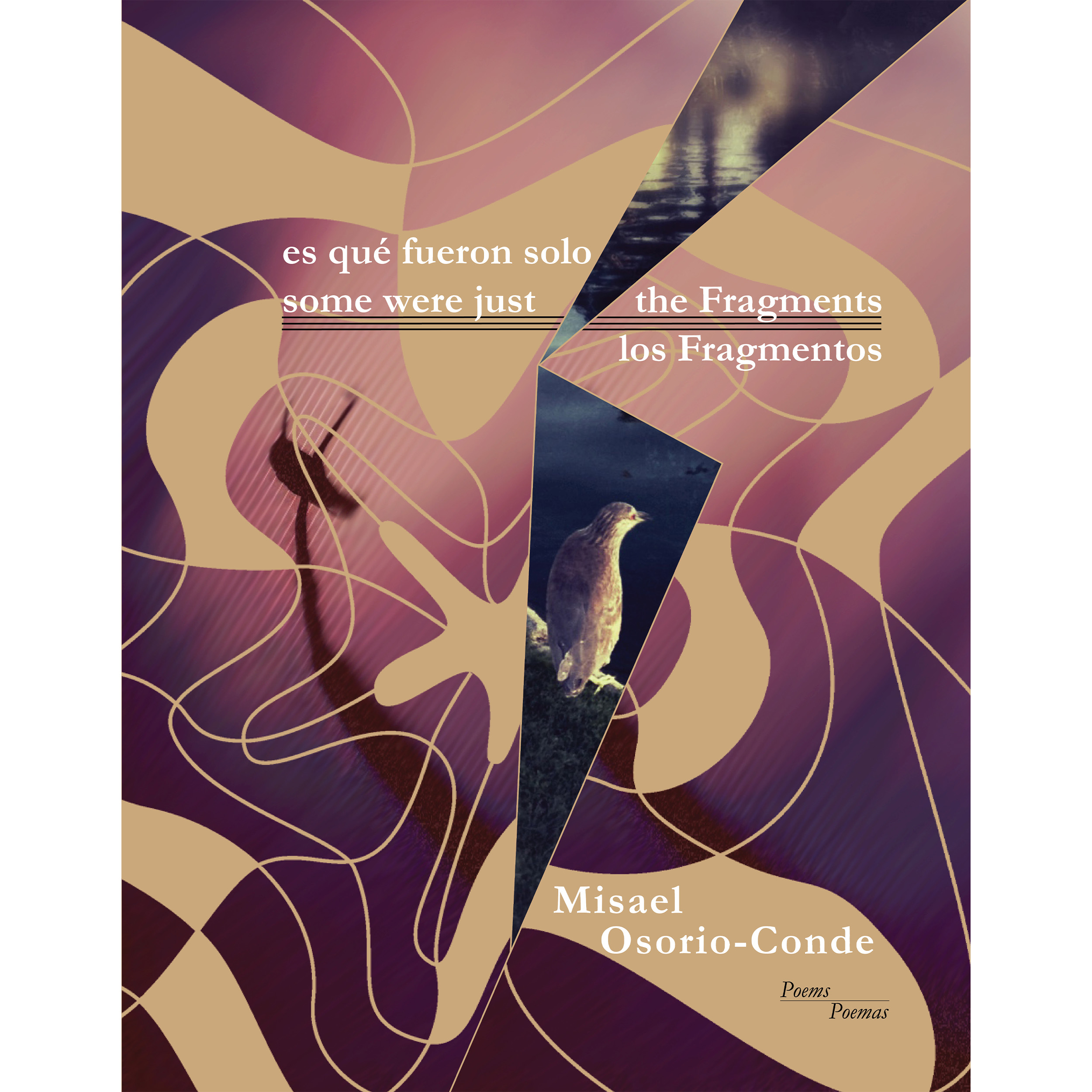 by Misael Osorio-Conde